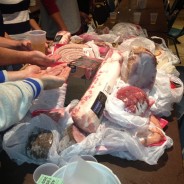 Review of the K of C Meat Raffles on South Park